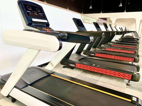 德州行 運河文化、書畫藝術與扎染魅力