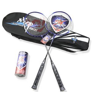 探秘李永波羽毛球拍 價格、專賣店及使用體驗全解析