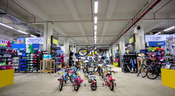 煙臺商業新地標 萬行愛琴海購物公園，不止海底撈，更是運動與生活新據點